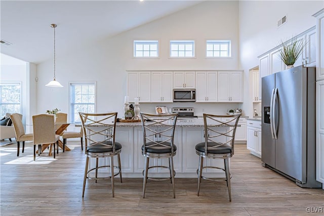 kitchen with appliances with stainless steel finishes, high vaulted ceiling, and plenty of natural light