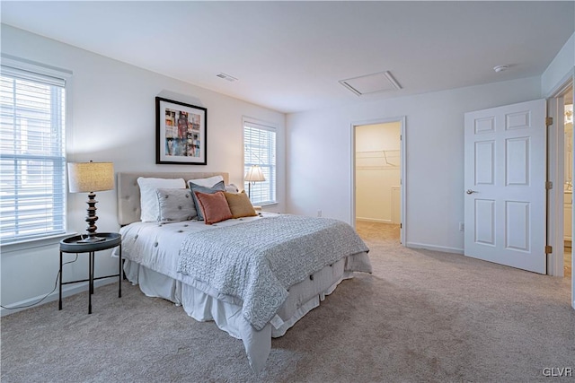 bedroom with a closet, a spacious closet, multiple windows, and light colored carpet