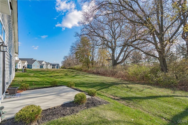 view of yard featuring a patio