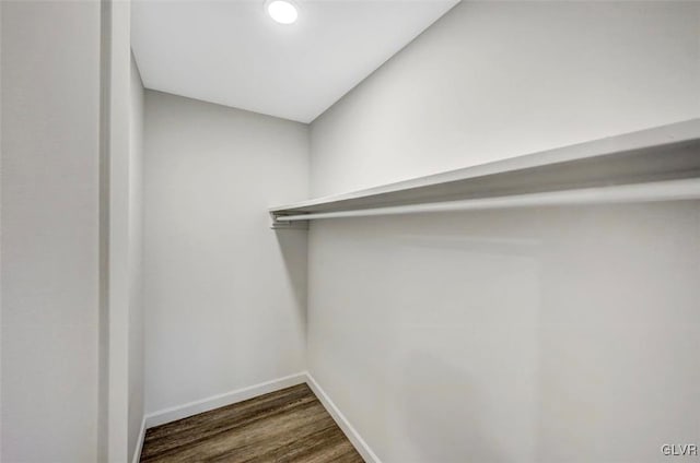 spacious closet featuring dark hardwood / wood-style flooring