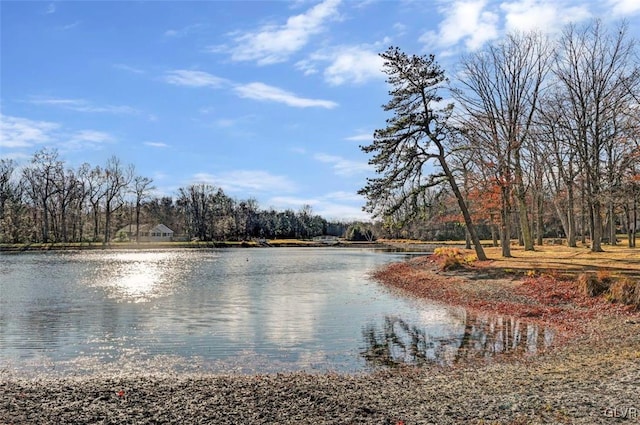 property view of water