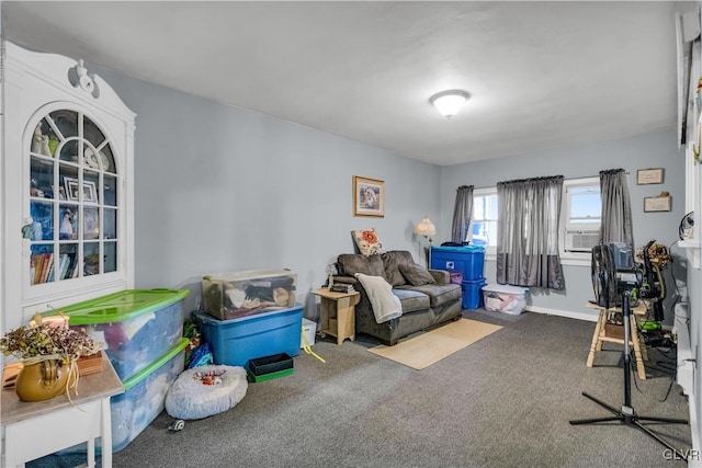 interior space with cooling unit and carpet floors