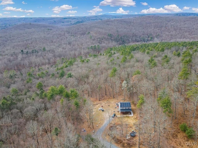 bird's eye view featuring a mountain view