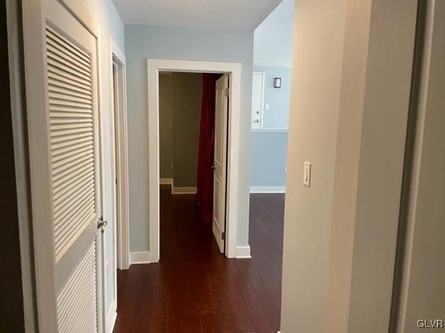 hall featuring dark wood-type flooring