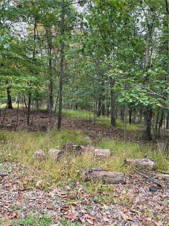 view of local wilderness