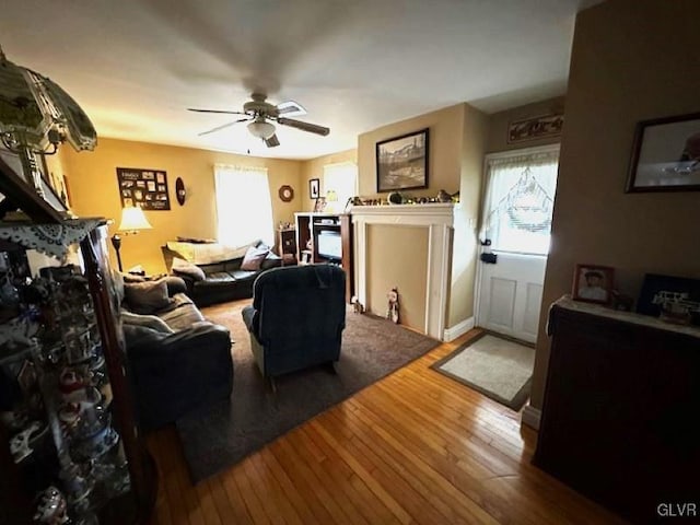 living room with ceiling fan and wood-type flooring