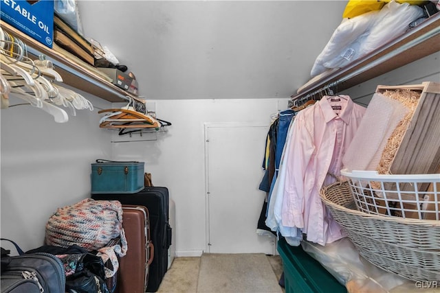 spacious closet with light carpet