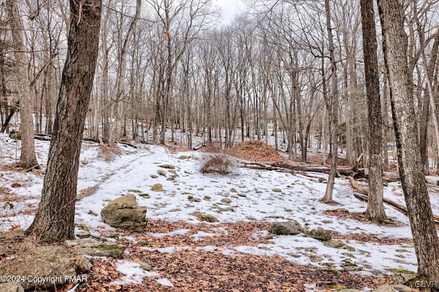 view of snowy landscape