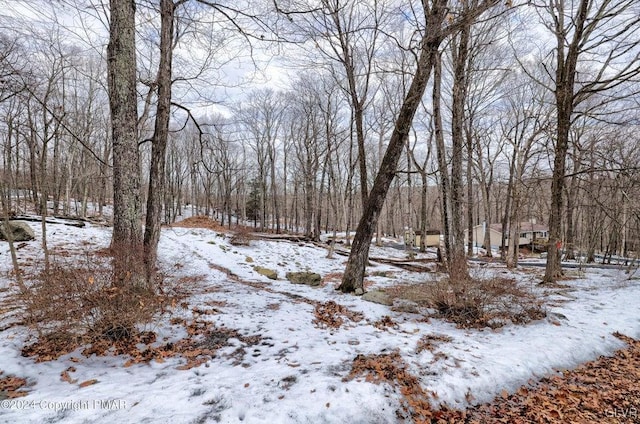 view of snowy yard