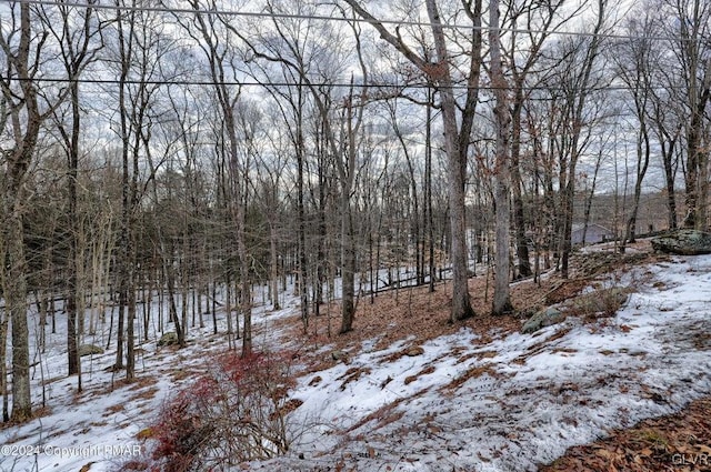 view of snowy yard