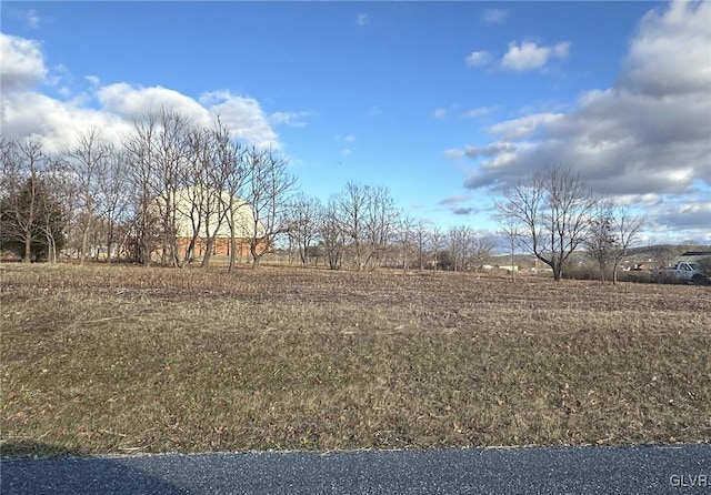 view of yard with a rural view