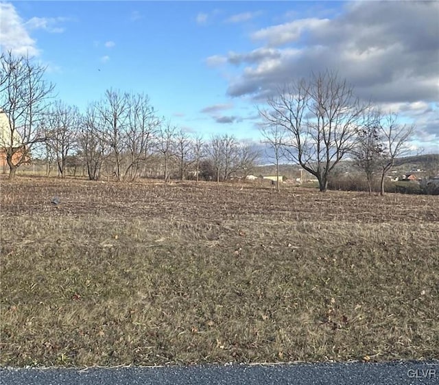 view of yard featuring a rural view