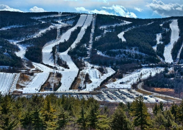 view of mountain feature