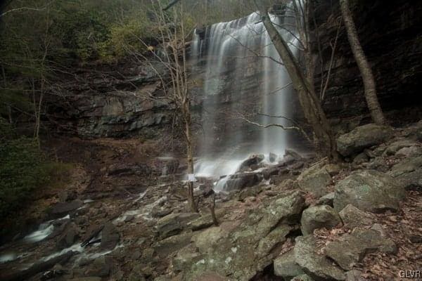 view of local wilderness