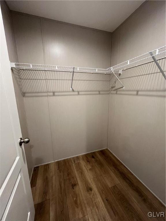 spacious closet with dark hardwood / wood-style floors