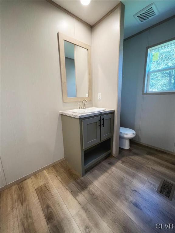 bathroom with vanity, wood-type flooring, and toilet