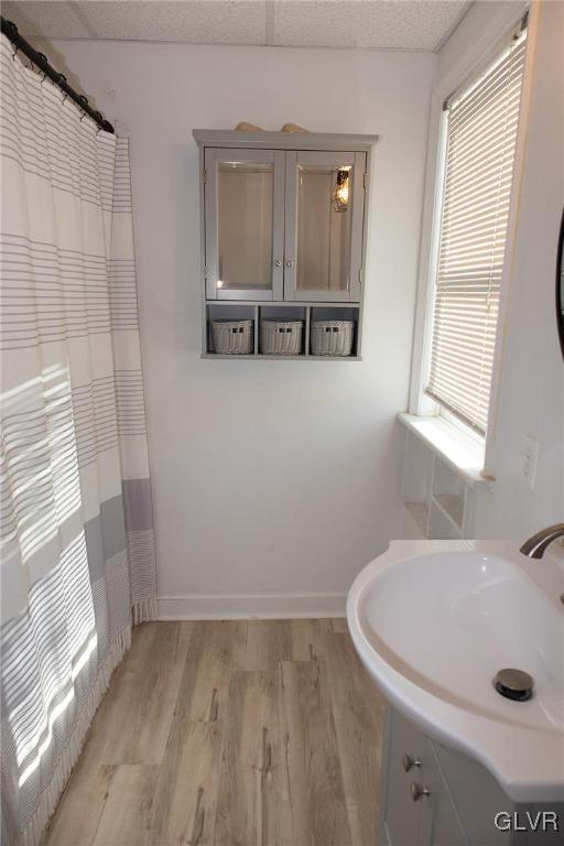 bathroom featuring hardwood / wood-style floors and sink