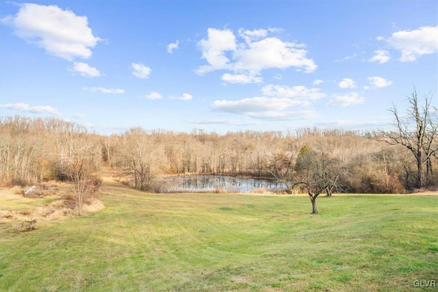 view of yard featuring a water view