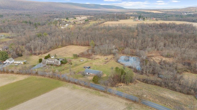 drone / aerial view featuring a mountain view and a rural view