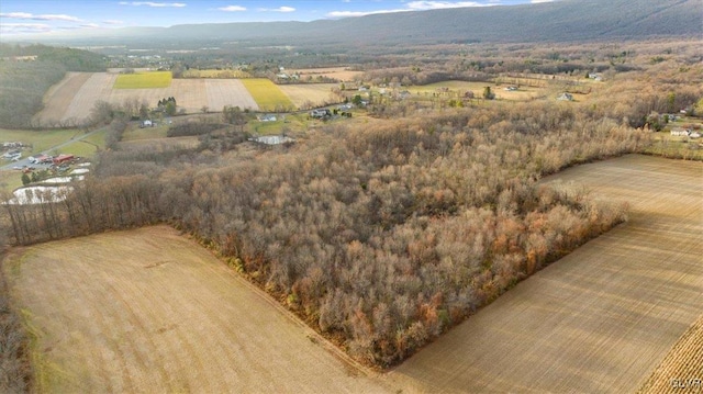 bird's eye view with a rural view