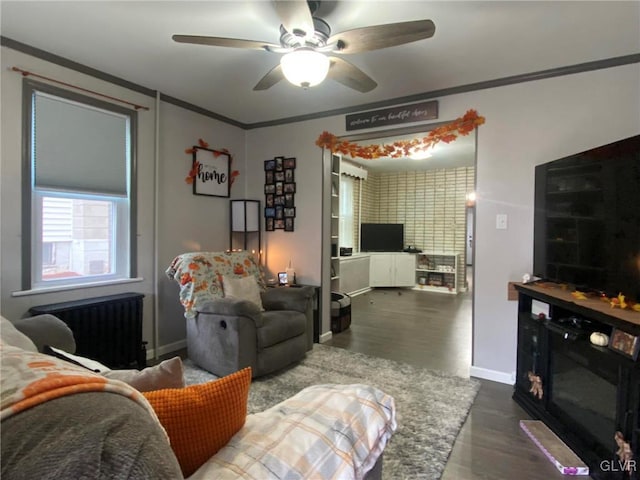 living room featuring ceiling fan, wood-type flooring, radiator heating unit, and crown molding