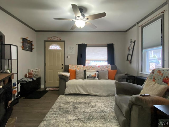 bedroom featuring multiple windows, ceiling fan, dark hardwood / wood-style floors, and ornamental molding