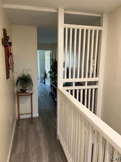 hall featuring dark wood-type flooring