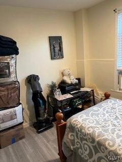 bedroom with multiple windows and wood-type flooring