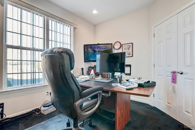 carpeted home office featuring plenty of natural light