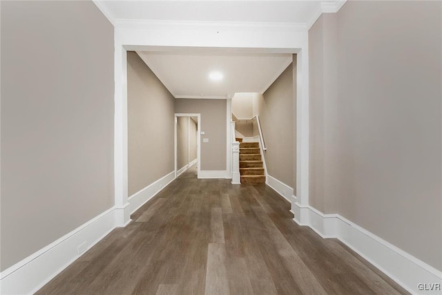 hall featuring dark hardwood / wood-style floors and ornamental molding