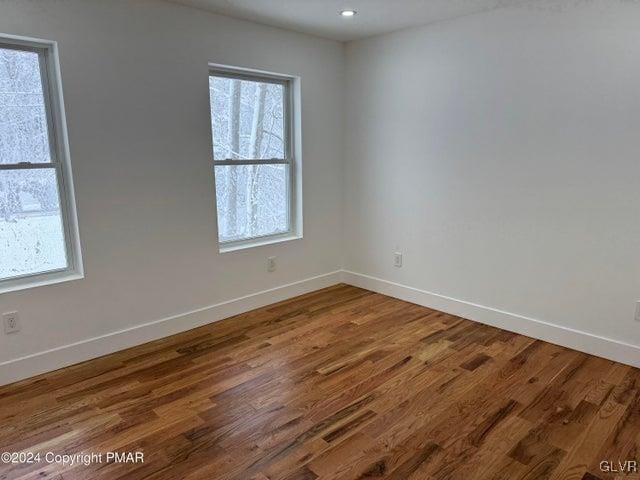 empty room featuring wood-type flooring and a wealth of natural light