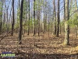 0 Pine Creek Rd, Wayne, PA 18428 - photo 1