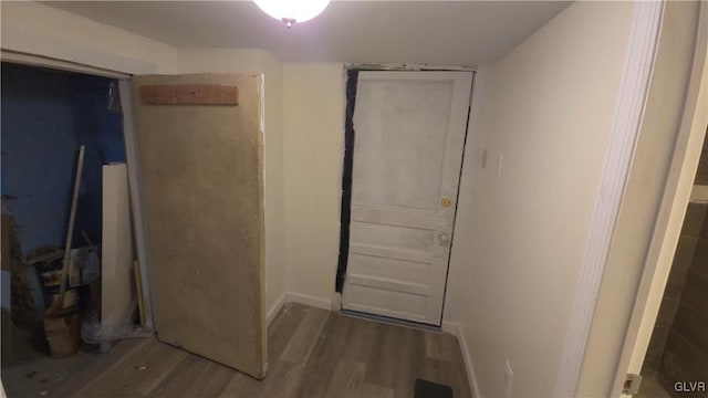 interior space with wood-type flooring