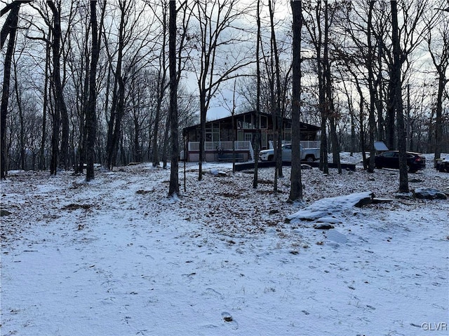 view of snowy yard