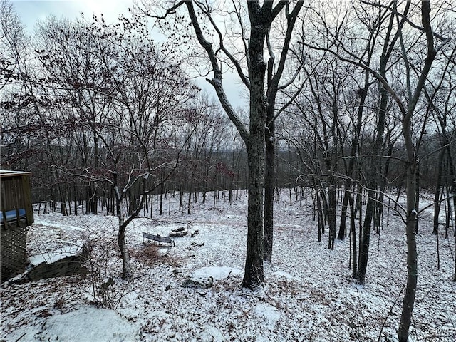 view of snowy landscape