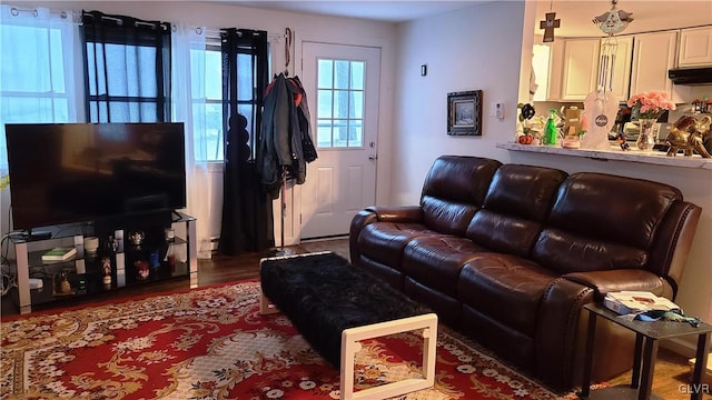 living room featuring dark hardwood / wood-style flooring