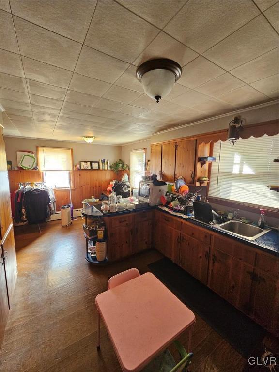 kitchen with a baseboard heating unit, dark hardwood / wood-style floors, a healthy amount of sunlight, and sink