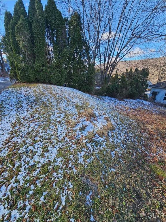 view of yard covered in snow