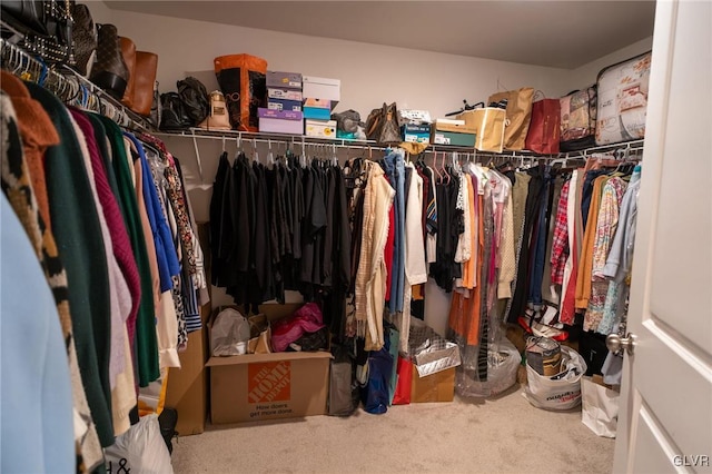 walk in closet featuring carpet flooring