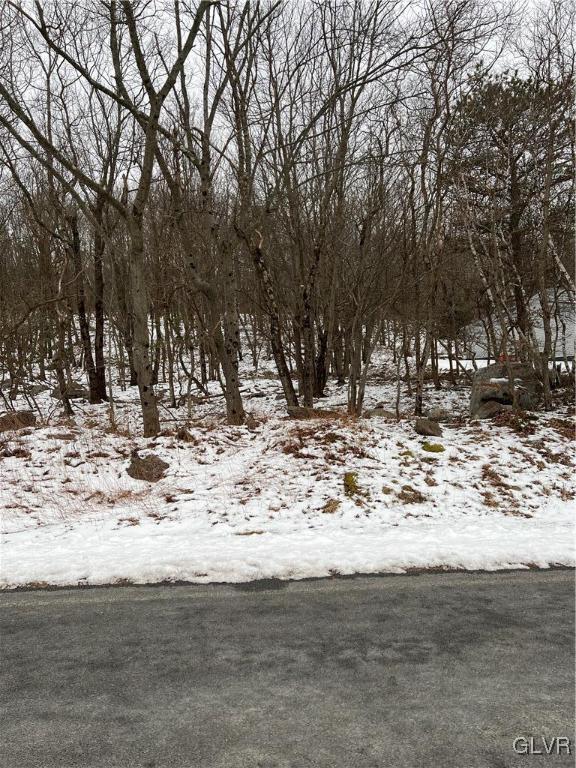 view of yard covered in snow