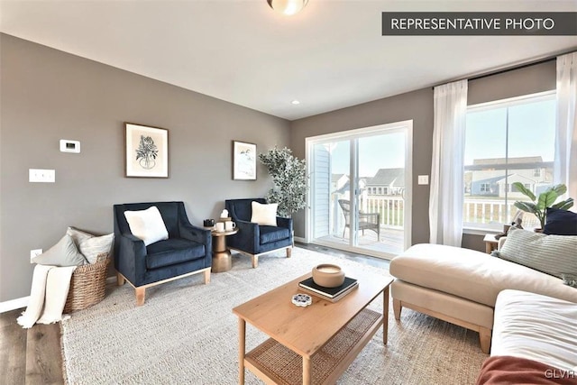 living room with hardwood / wood-style floors