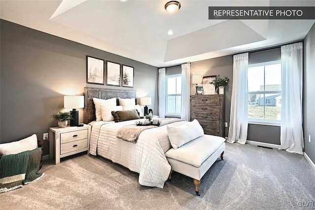 bedroom with carpet flooring and a raised ceiling