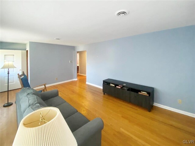 living room with hardwood / wood-style floors