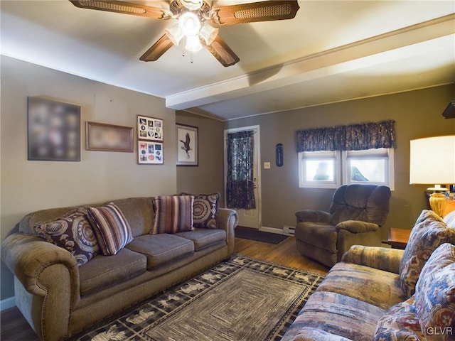 living room featuring ceiling fan, a baseboard radiator, and hardwood / wood-style flooring