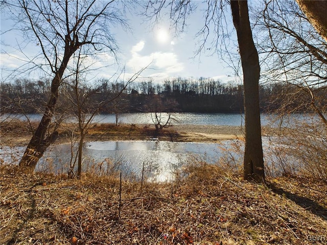 property view of water