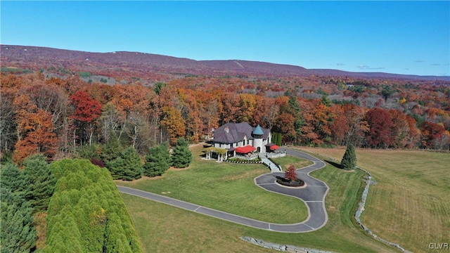 drone / aerial view with a mountain view