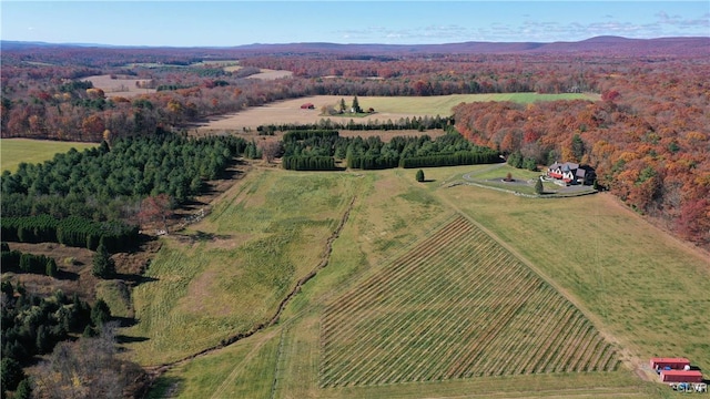 birds eye view of property with a rural view