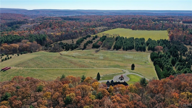 aerial view with a rural view