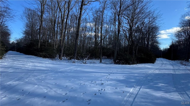 view of snowy yard