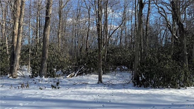 view of snowy landscape